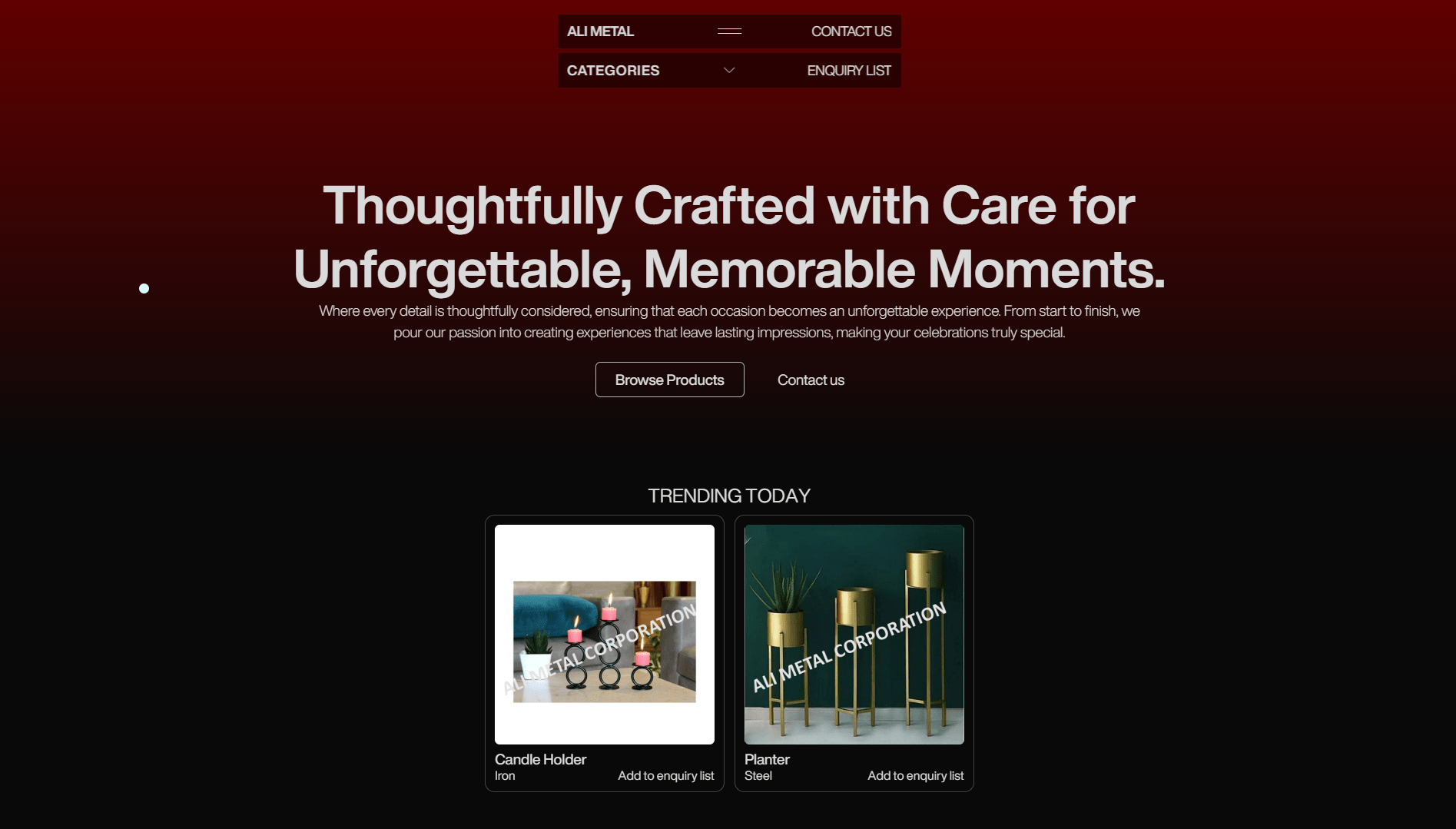 website screenshot 1
